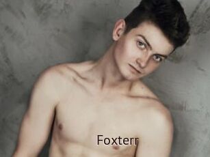 Foxterr