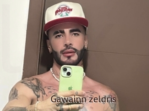 Gawainn_zeldris