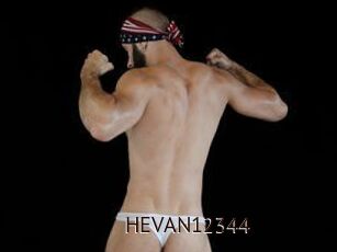 HEVAN12344