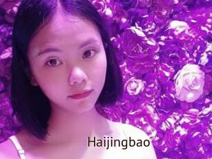 Haijingbao