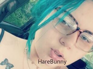 HareBunny
