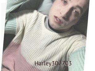Harley307703