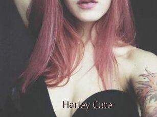 Harley_Cute