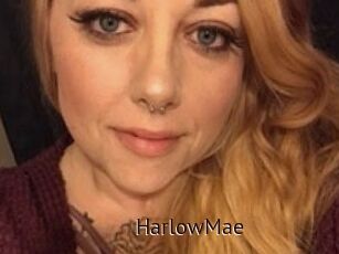 HarlowMae