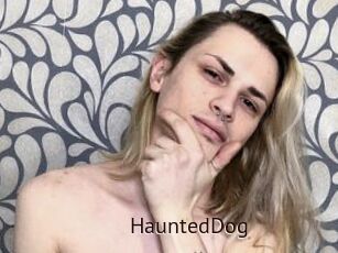 HauntedDog