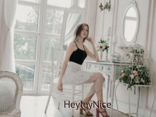 HeyleyNice