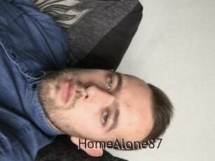 HomeAlone87