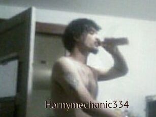 Hornymechanic334