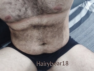 Hairybear18
