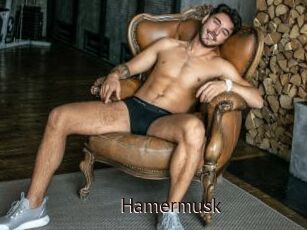 Hamermusk