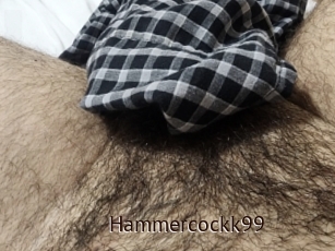 Hammercockk99