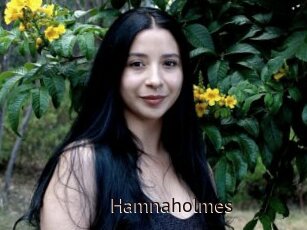 Hamnaholmes