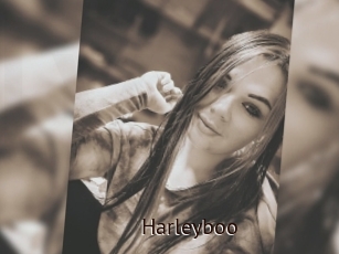 Harleyboo