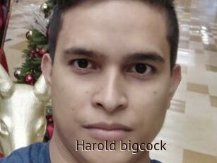 Harold_bigcock