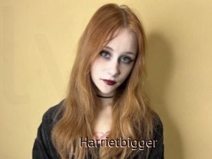 Harrietbigger
