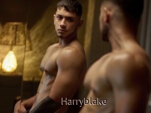 Harryblake