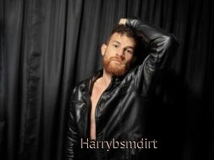 Harrybsmdirt