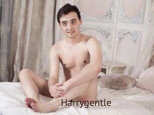 Harrygentle
