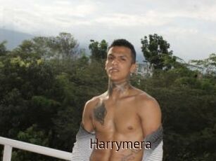 Harrymera