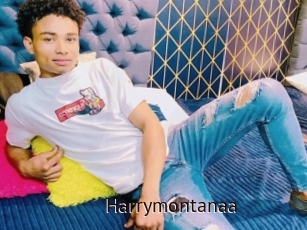 Harrymontanaa