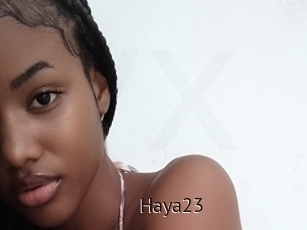 Haya23