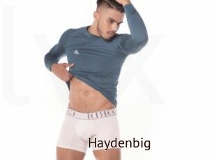 Haydenbig
