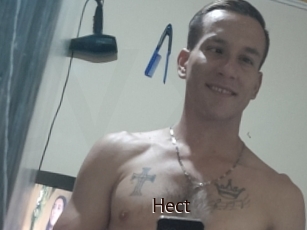 Hect