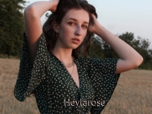 Heylarose