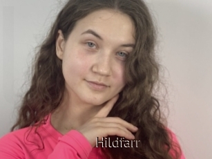 Hildfarr