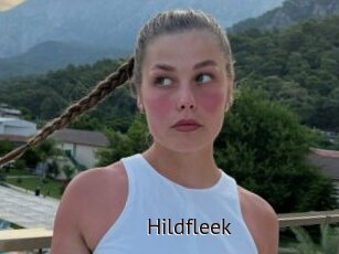 Hildfleek