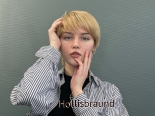 Hollisbraund