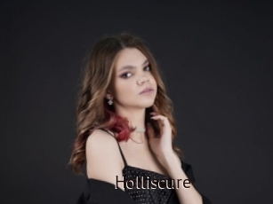 Holliscure