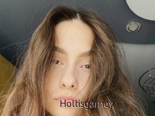 Hollisgarney