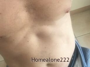 Homealone222