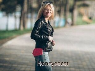 Honeyedcat