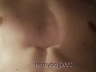 Hornyboy2002