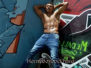 Hornyboycockhard