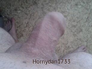 Hornydan1733