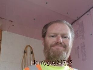 Hornyguy24745