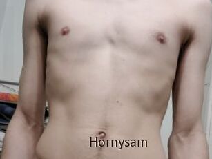 Hornysam