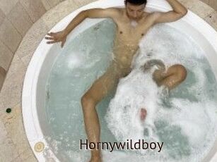 Hornywildboy