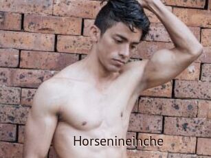 Horsenineinche