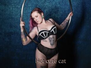 Hot_cute_cat