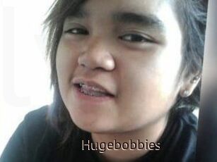 Hugebobbies