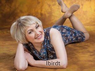 Ibirdt