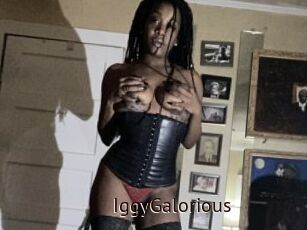 IggyGalorious