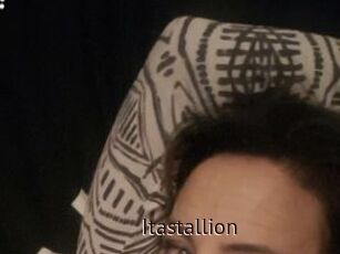 Itastallion