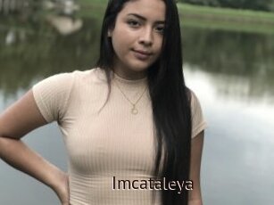 Imcataleya