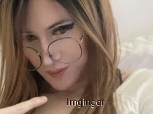 Imginger