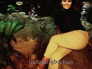 Indianbigboobies